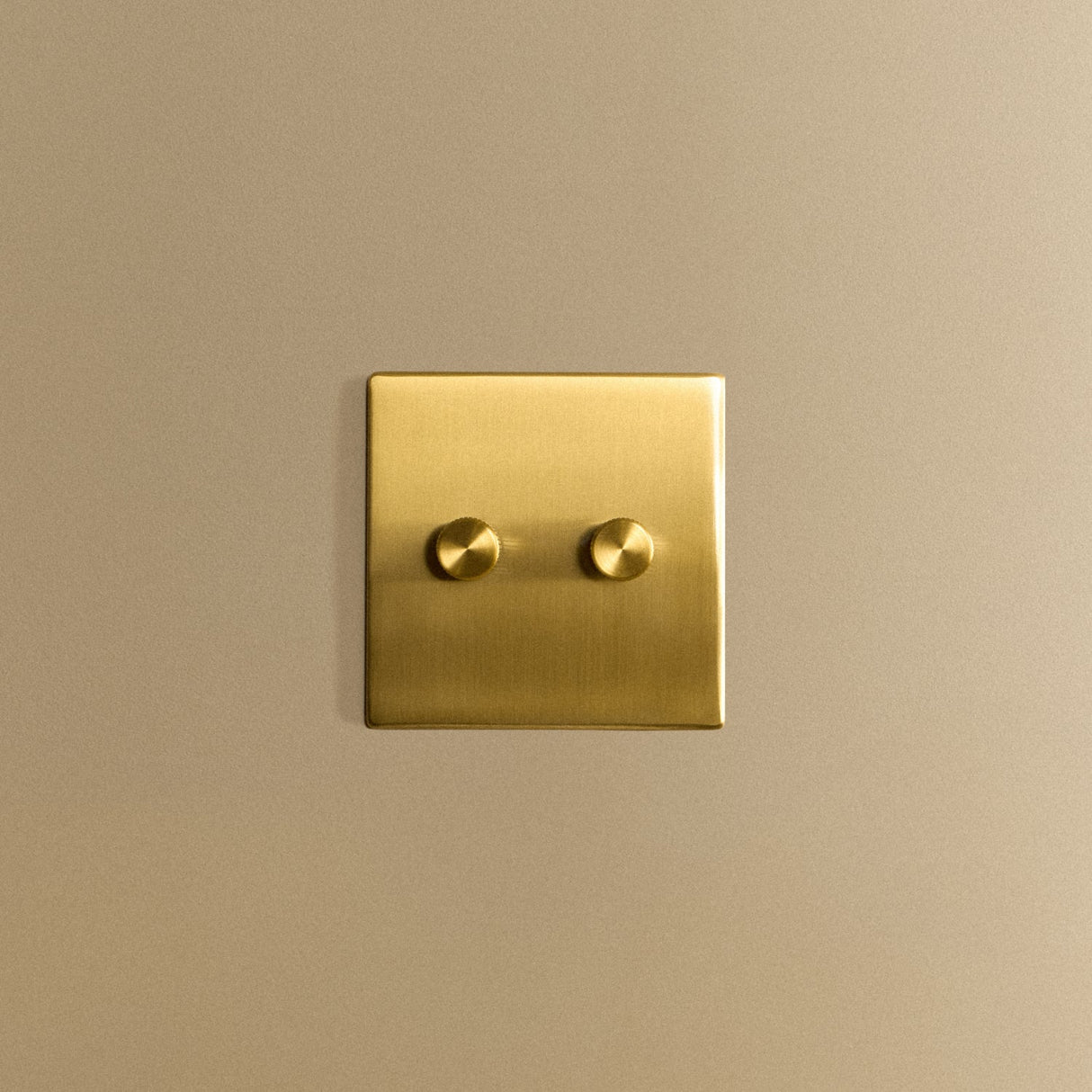 Double Rotary Wall Dimmer in Brass