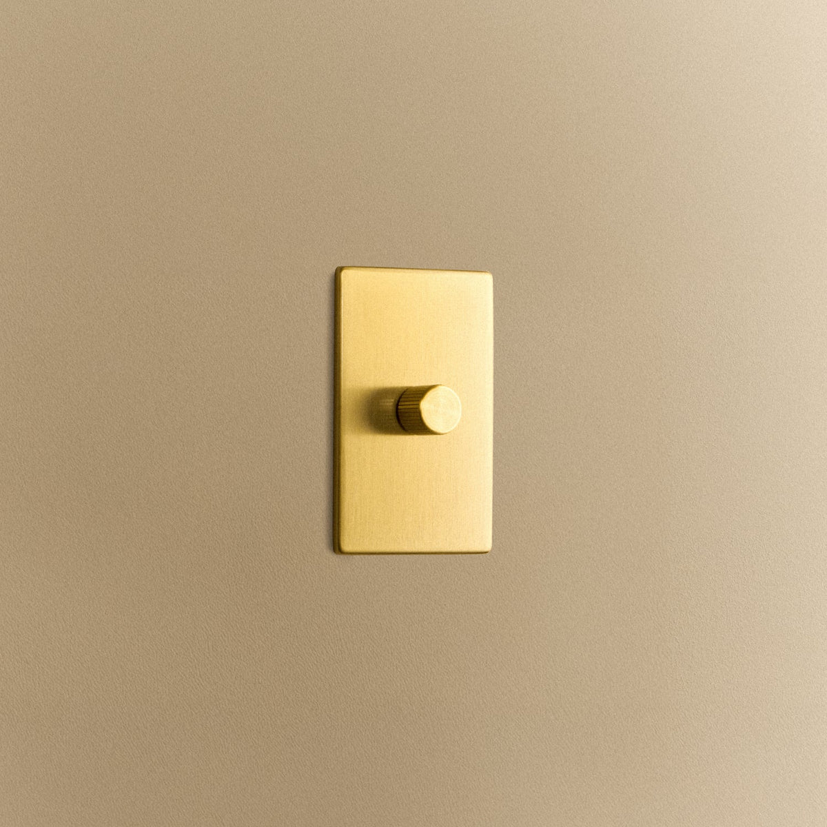 Single Rotary Wall Dimmer in Brass