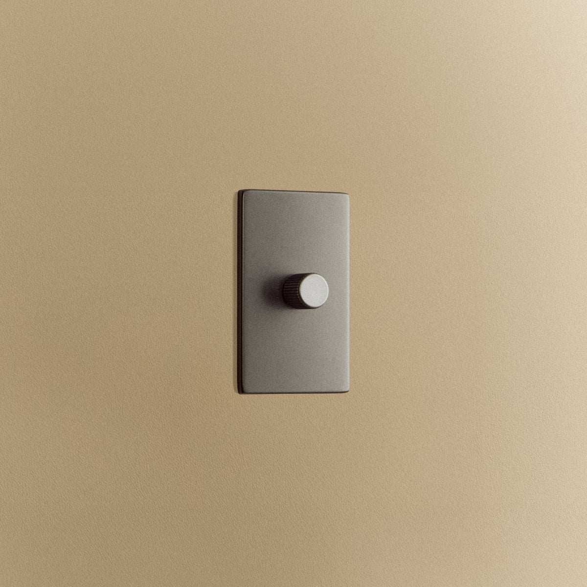 Single Rotary Wall Dimmer in Graphite