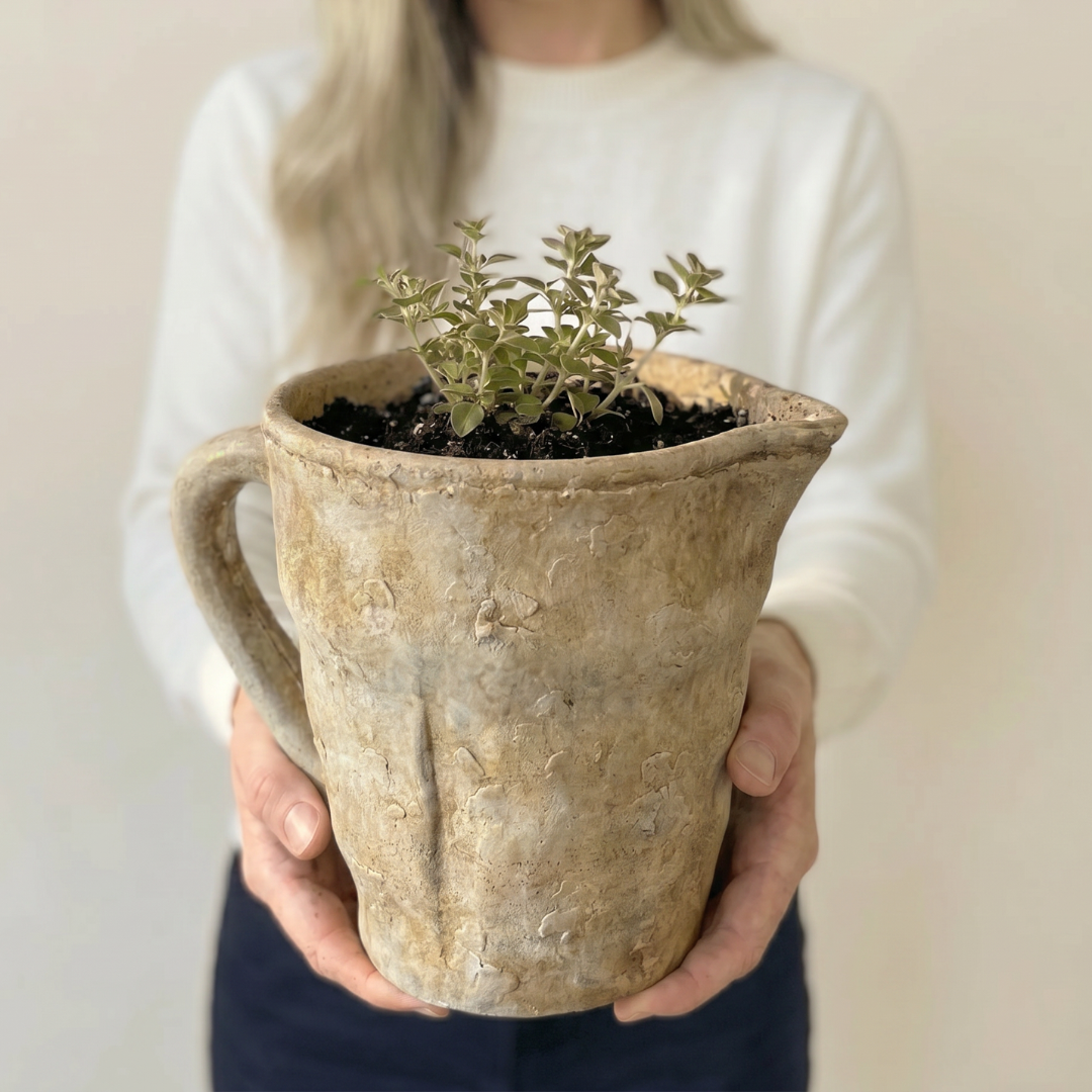 Valencia Carafe-Style Cement Planter, Hand-Painted in Aged White, 8.5"D x 7"H
