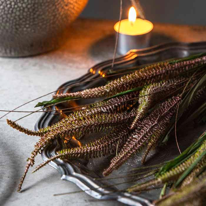 Faux Veronica Bunch Dusk