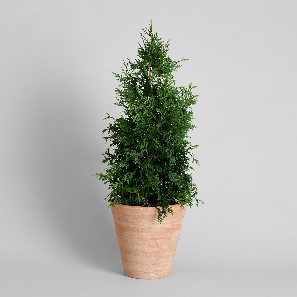 Whitewash Terracotta Studio Planter