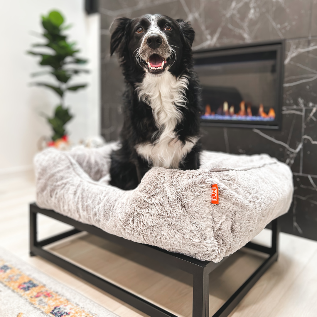 The FÜZI Elevated Dog Bed