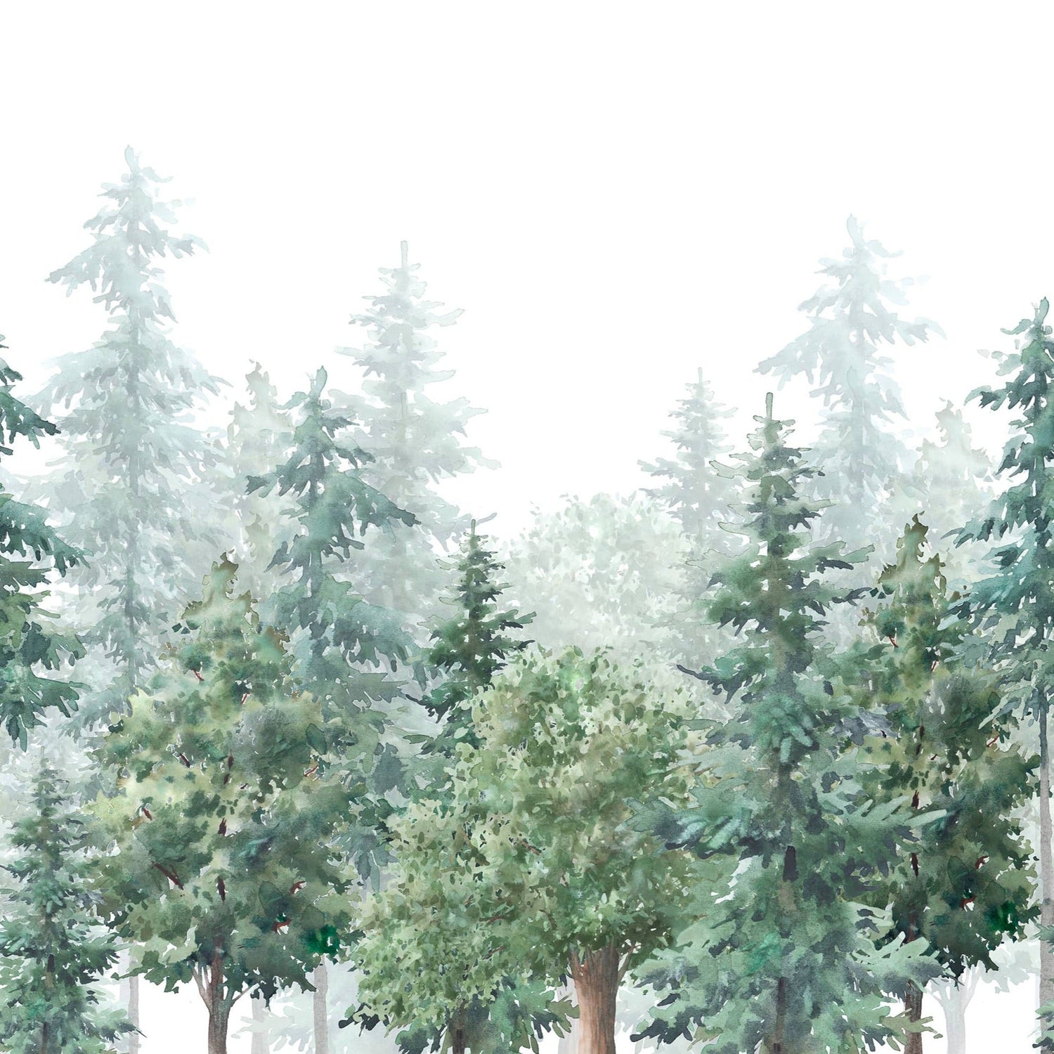 Evergreen Forest Wallpaper - Watercolor Forest Wall Mural