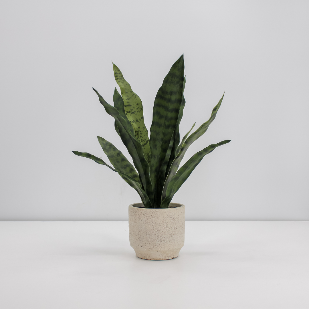 16" Faux Snake Plant & Fern Set