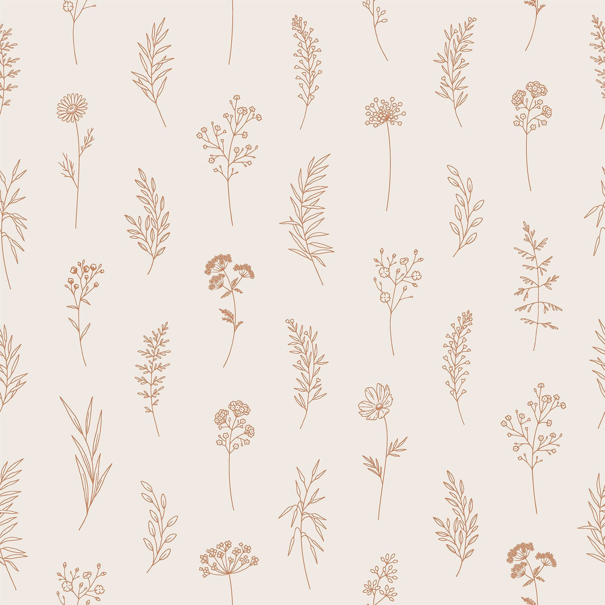 Modern Botanical Wallpaper Peel and Stick - Thin Line Wildflowers