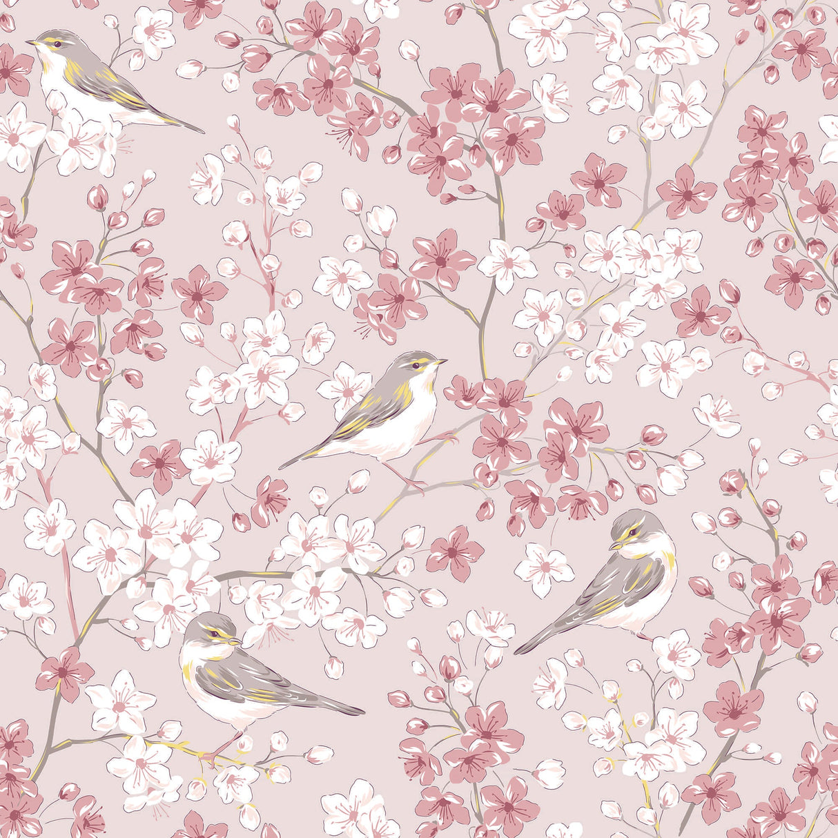 Cherry Blossom Wallpaper with Willow Warbler Birds