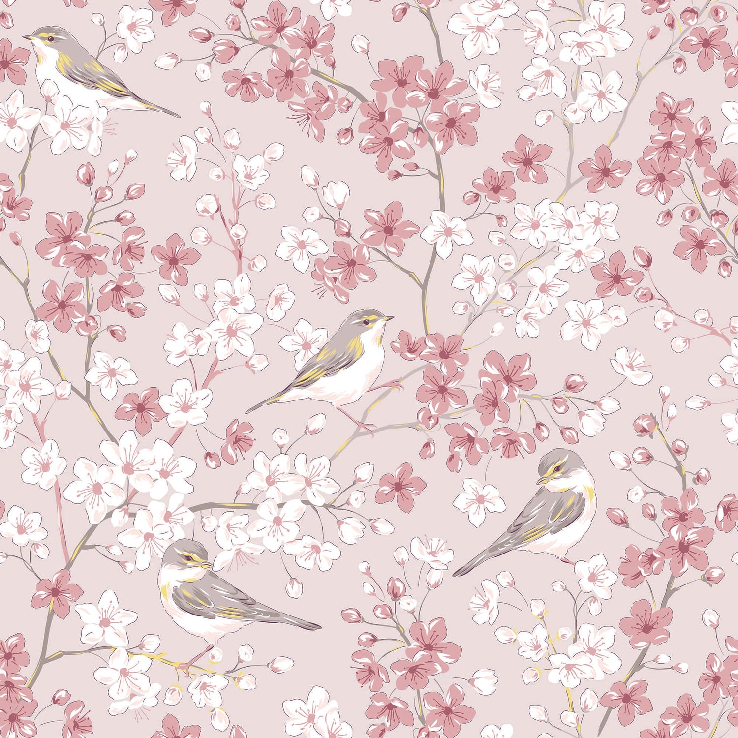 Cherry Blossom Wallpaper with Willow Warbler Birds