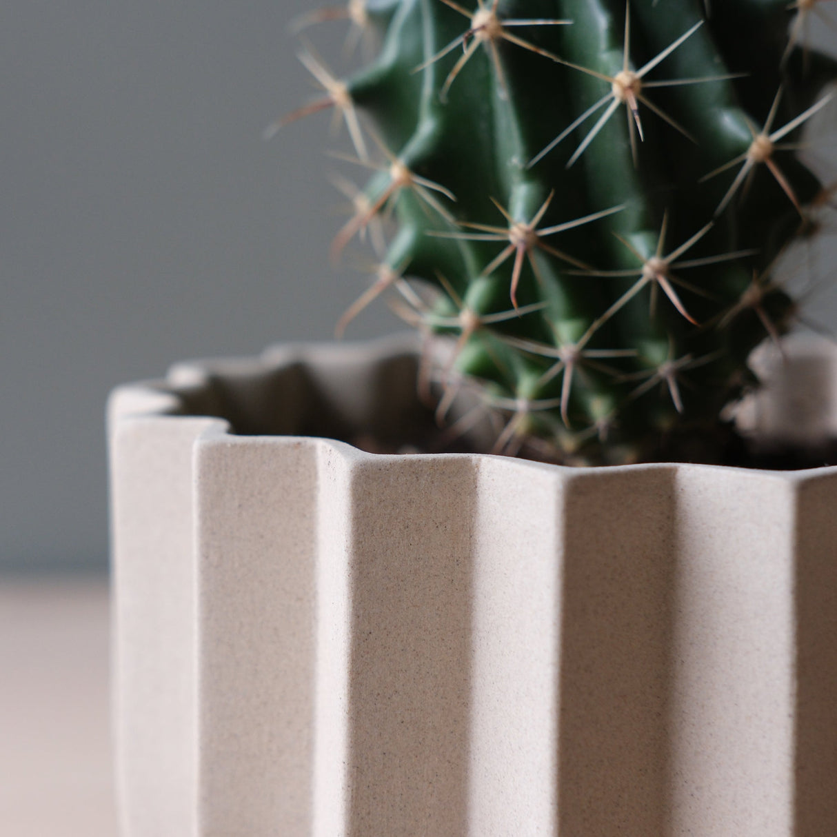 Wrap Planter - 4 sizes