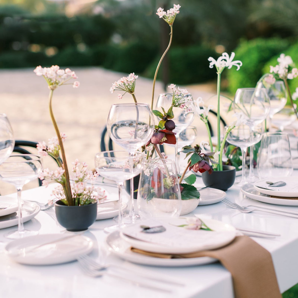 SIREN STEMWARE // CLEAR