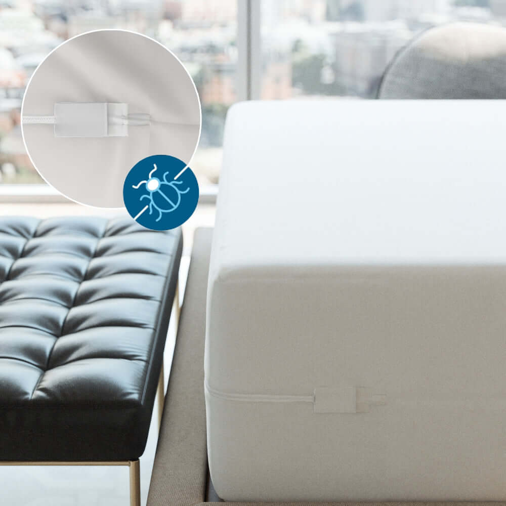 Bargoose Commercial 6-Gauge Vinyl Zippered Mattress Encasement – Waterproof, Wipe-Clean, Bed Bug Proof