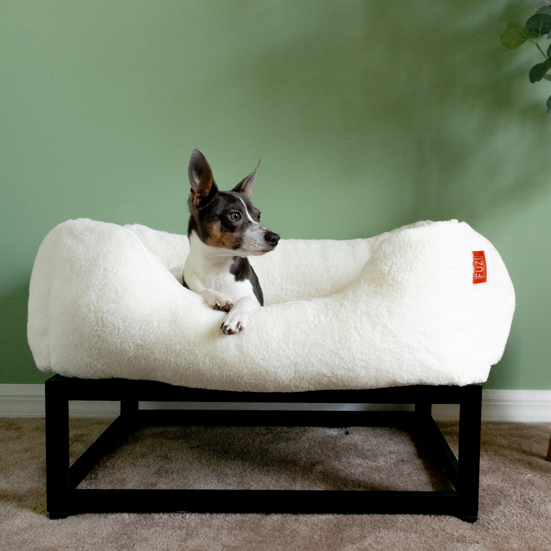 The FÜZI Elevated Dog Bed