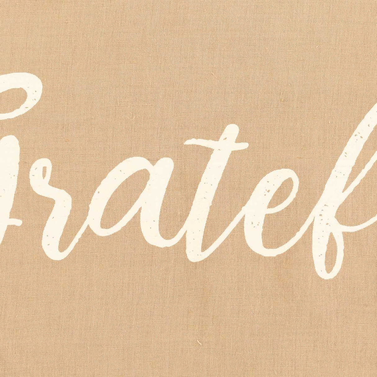 Geetbets Tan Pillow Cover