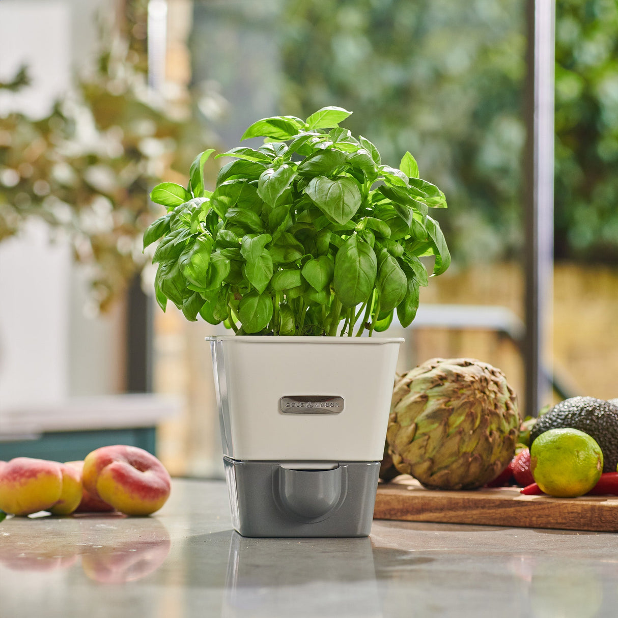Cole & Mason Burwell Self-Watering Potted Herb Keeper