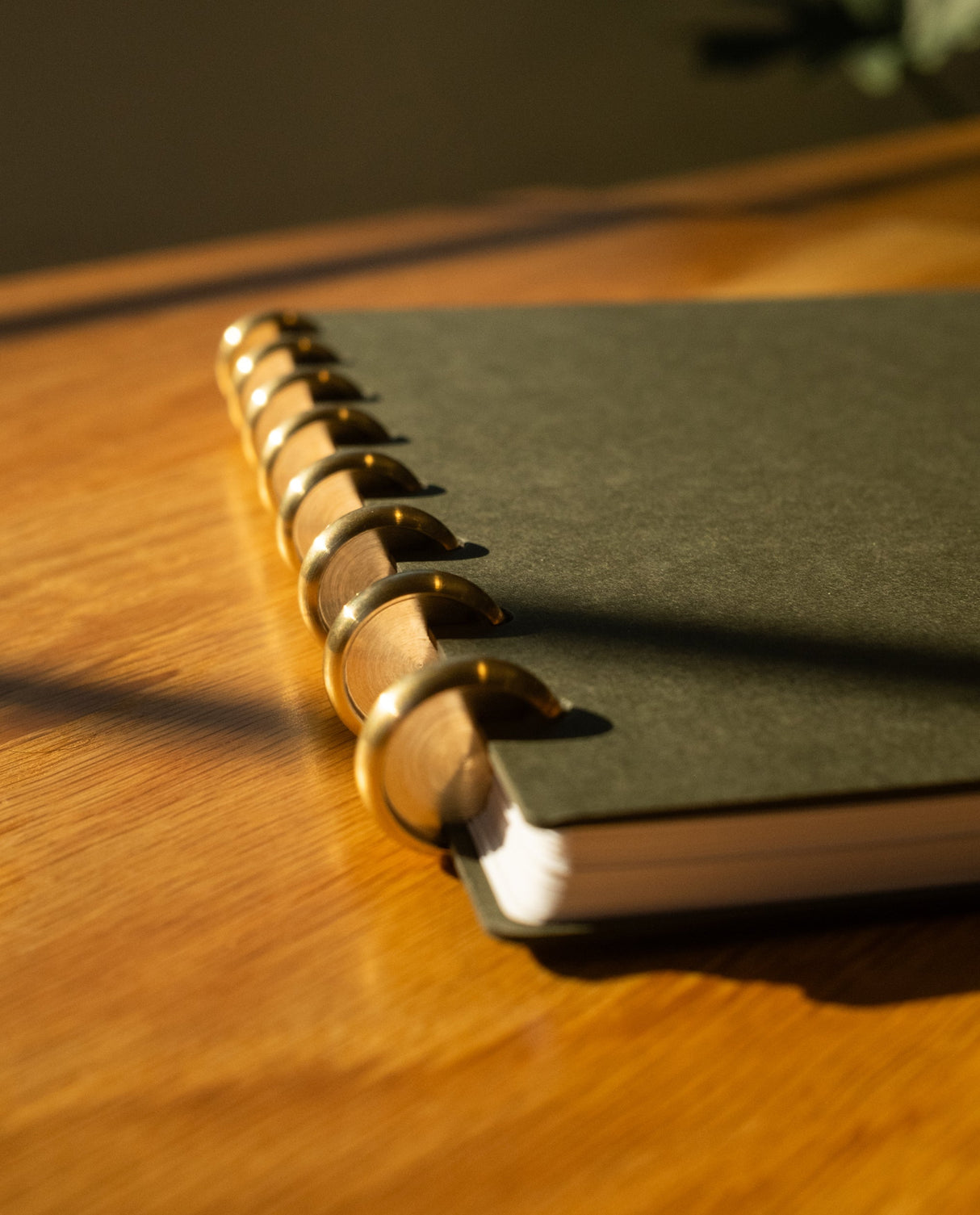 Discbound Journal Bundle (Standard 6"x 8.5" Journal + 3 Refills)