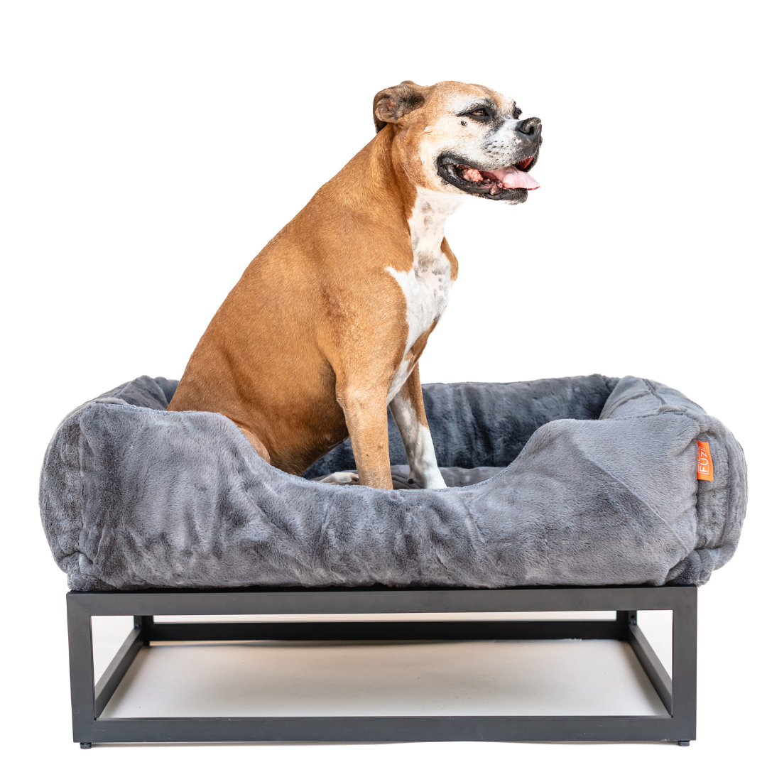 The FÜZI Elevated Dog Bed