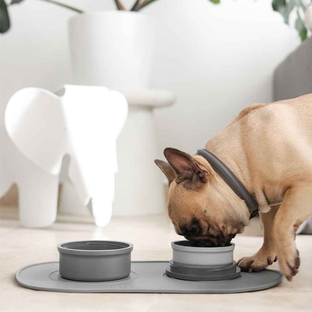 Portable & Travel Dog Bowl