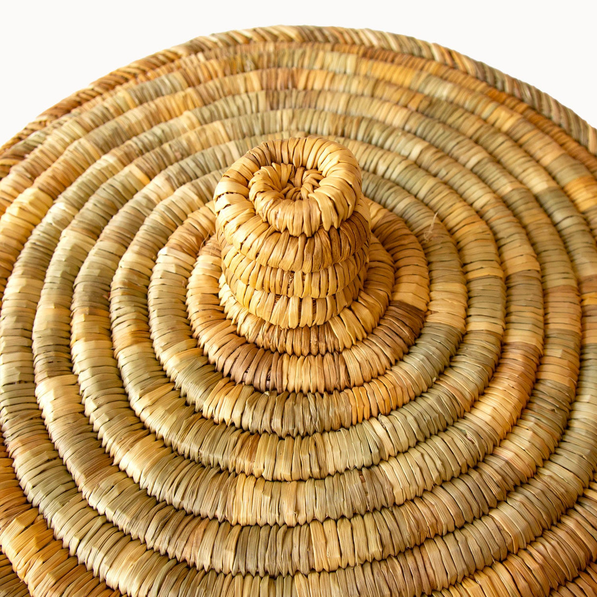 Lidded Palm Laundry/Storage Basket