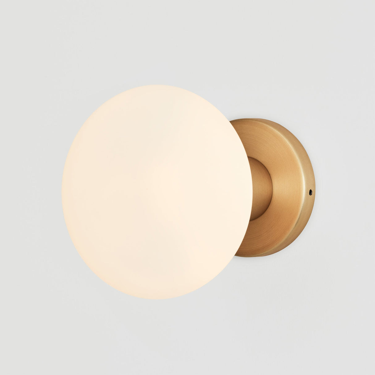 Lochan Wall Light in Brass + Oval Dim to Warm