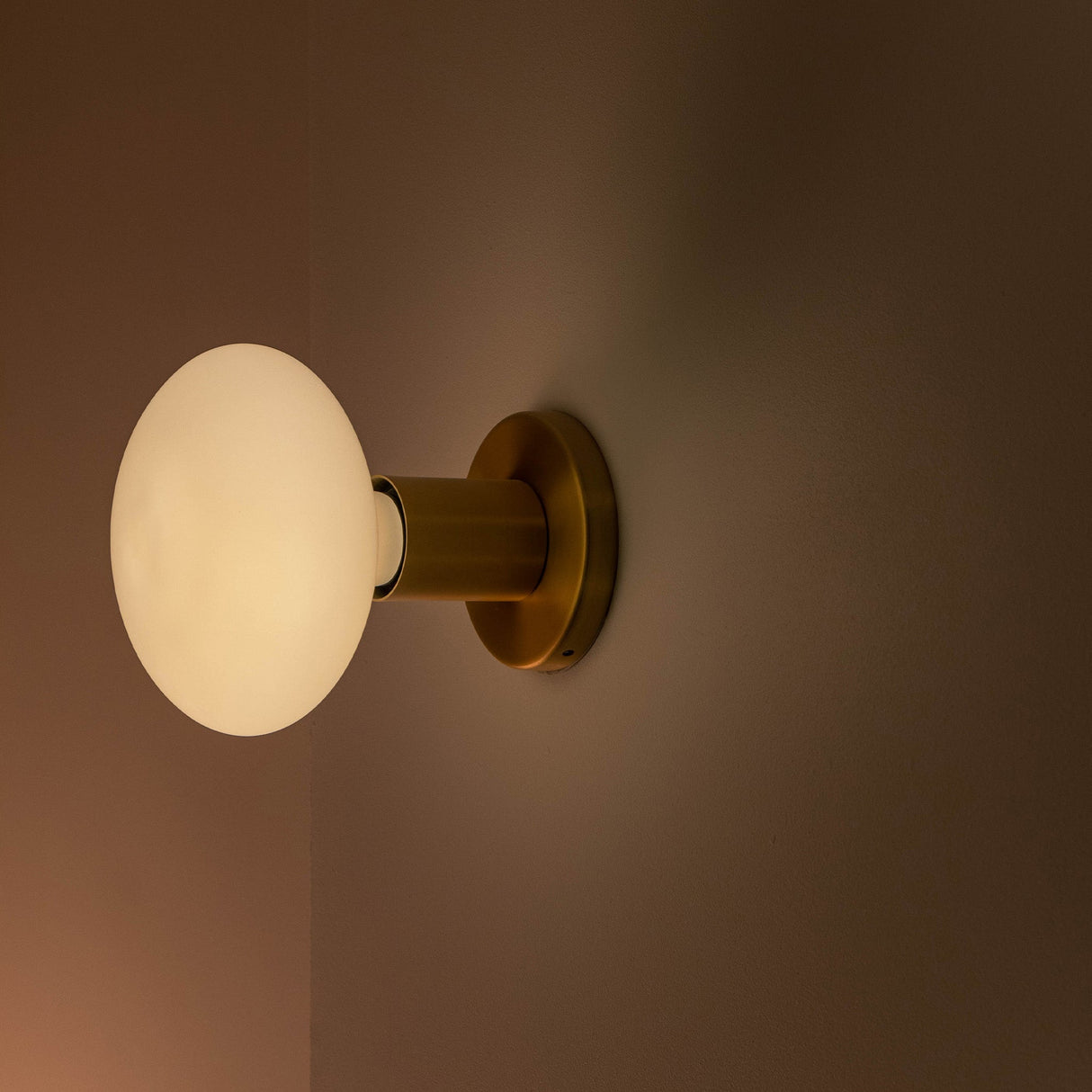 Lochan Wall Light in Brass + Oval Dim to Warm