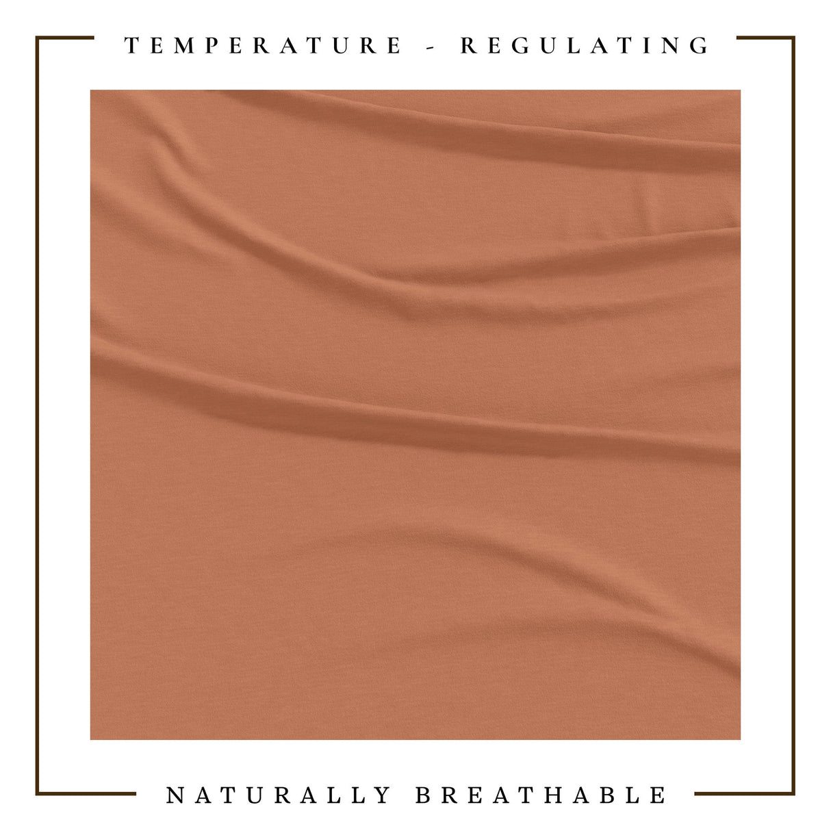 4-Piece Jersey Sheet - Carmen Collection