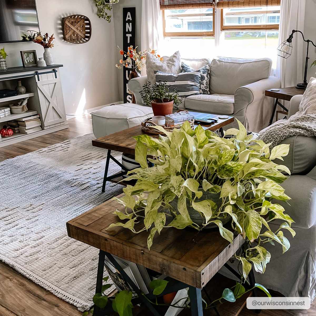 Poydras High-Low Rustic Rug