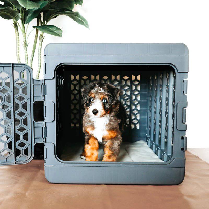 PAWD® Modern Collapsible Dog Crate