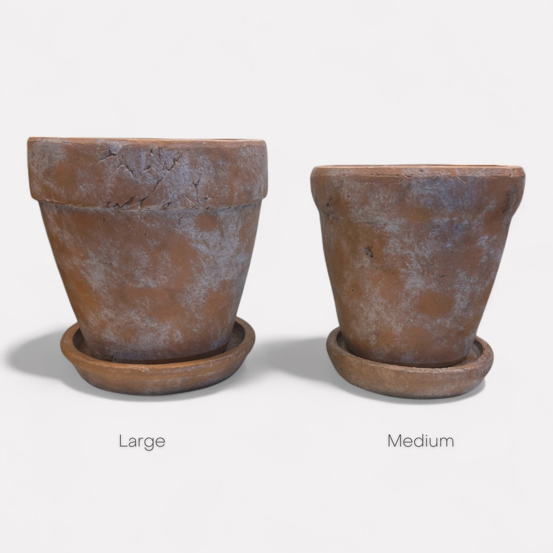 Venice Cement Planter with Dish and Drainage Hole, Handcrafted in Aged Terracotta, Medium & Large