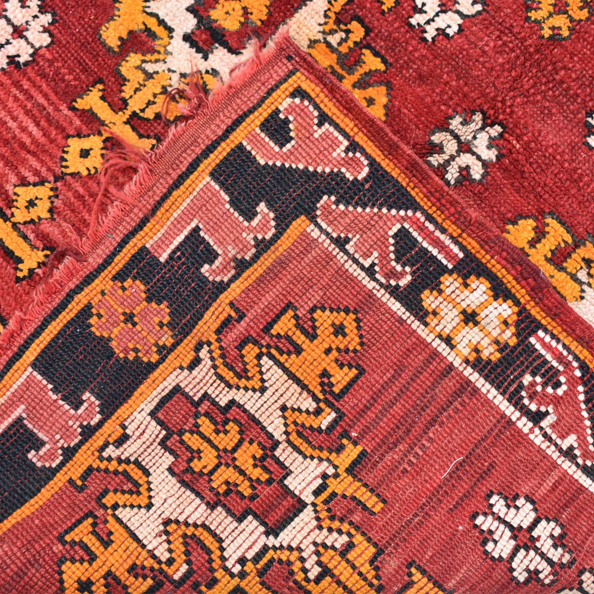 Rokaia Hand-Knotted Moroccan Wool Rug | 3'11" x 5'9"