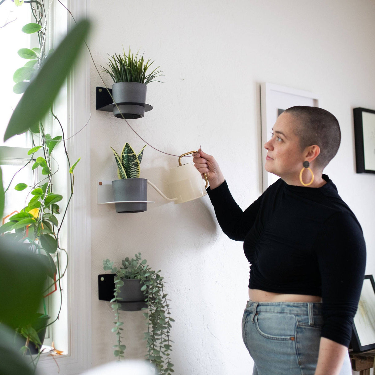 4" Plant Holder for Wall