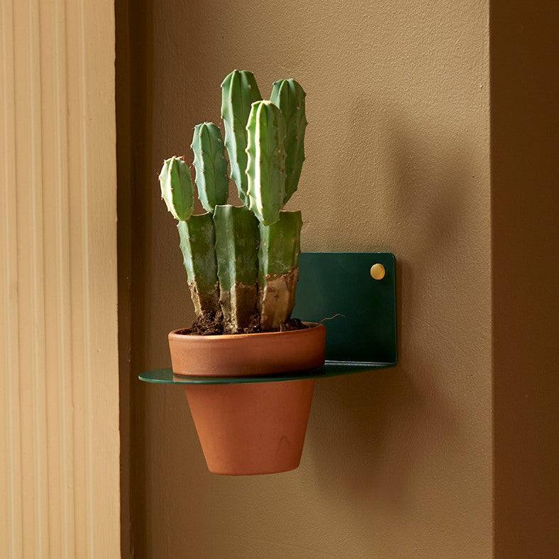 4" Plant Holder for Wall
