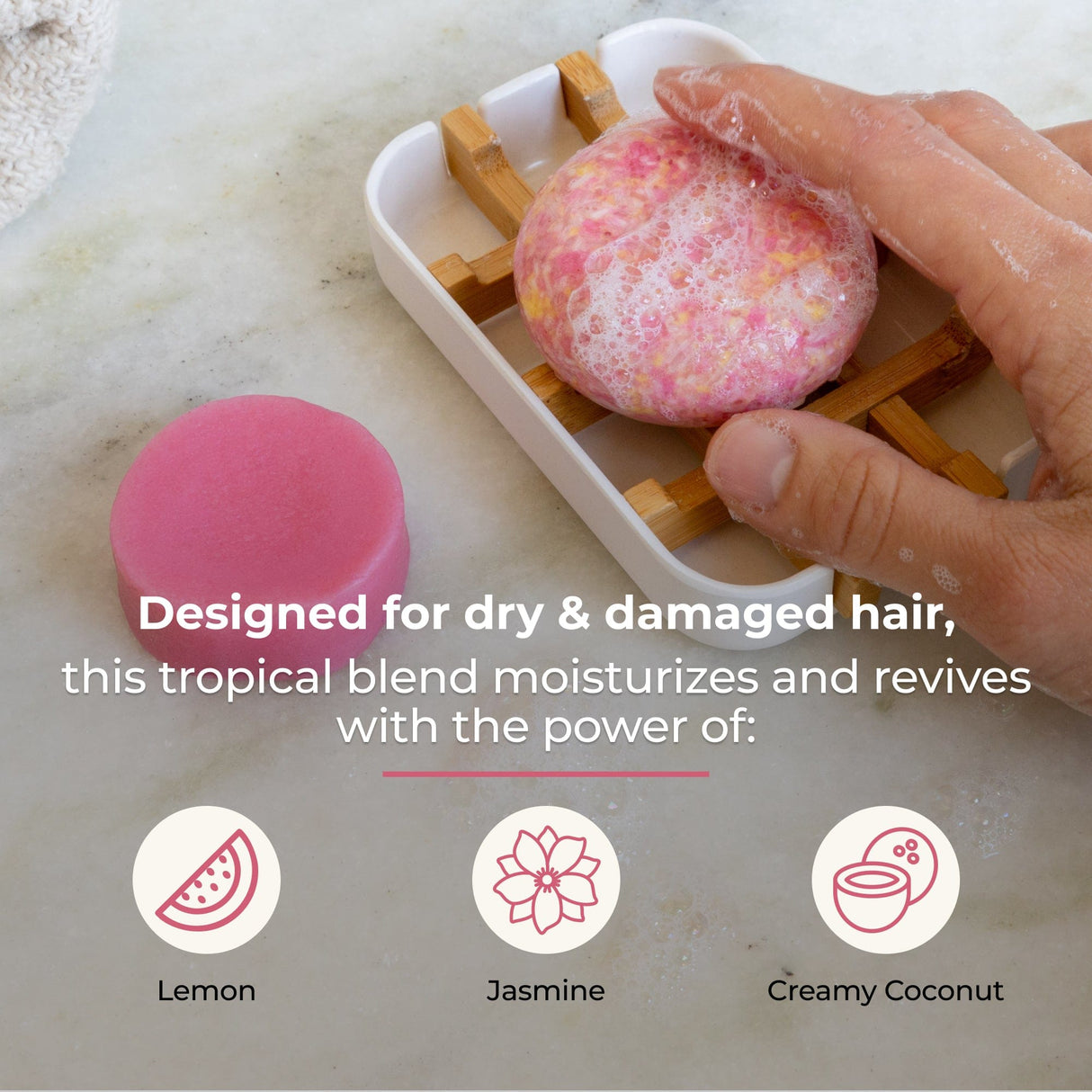 Shampoo & Conditioner Bar Duo