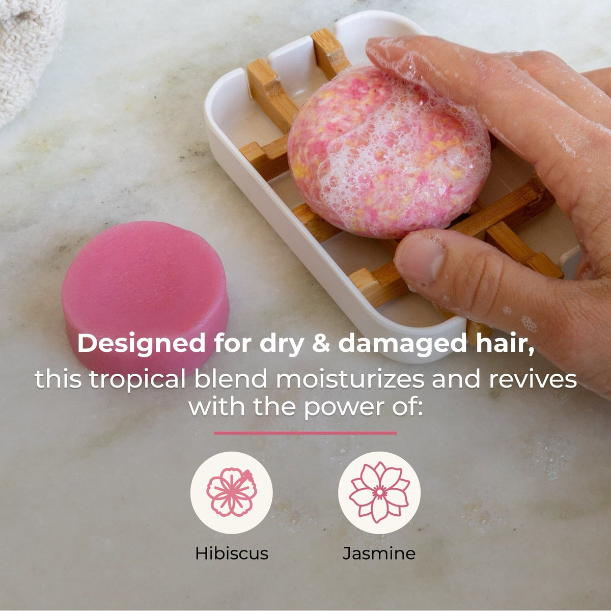 Shampoo & Conditioner Bar Duo