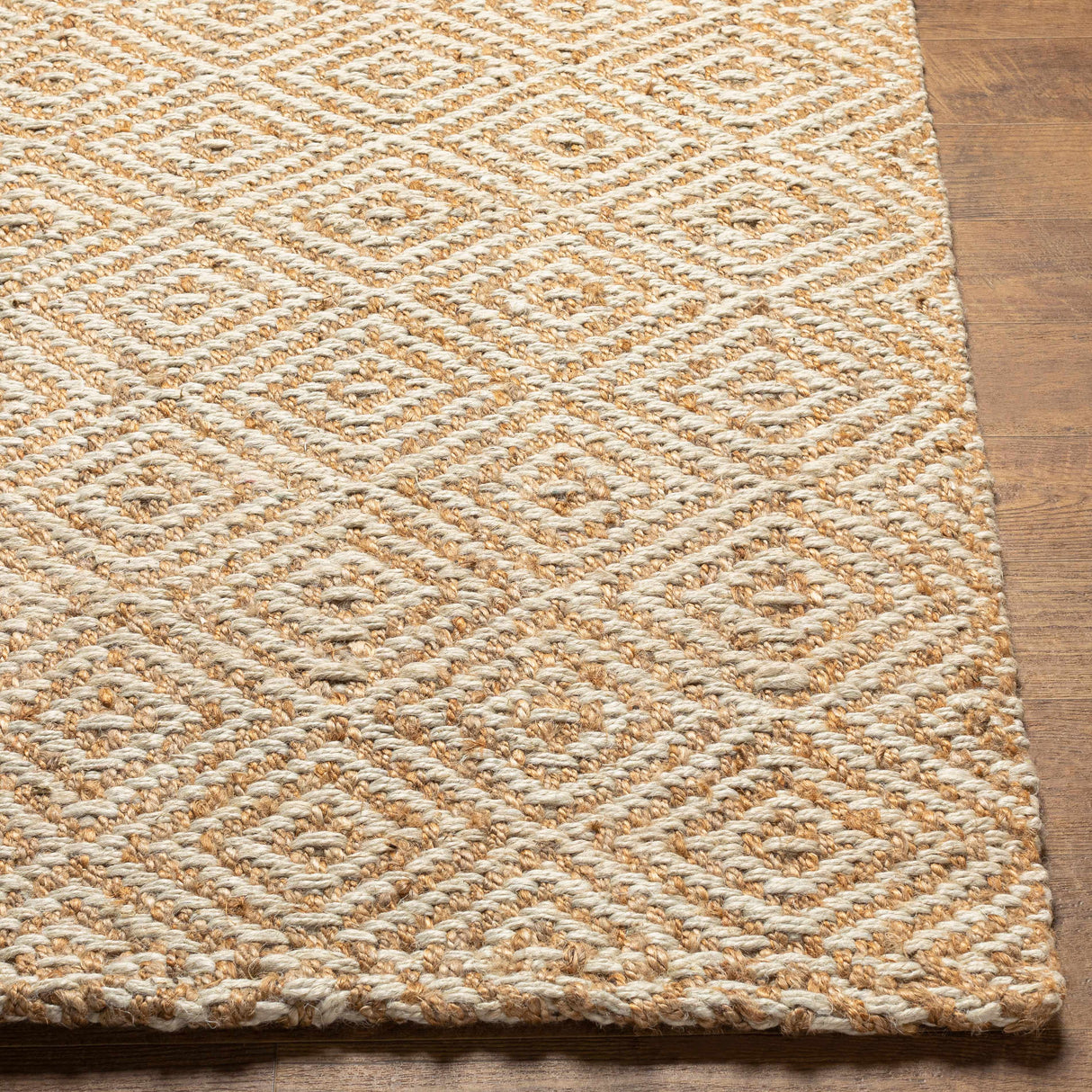 Eriko Area Rug - Clearance