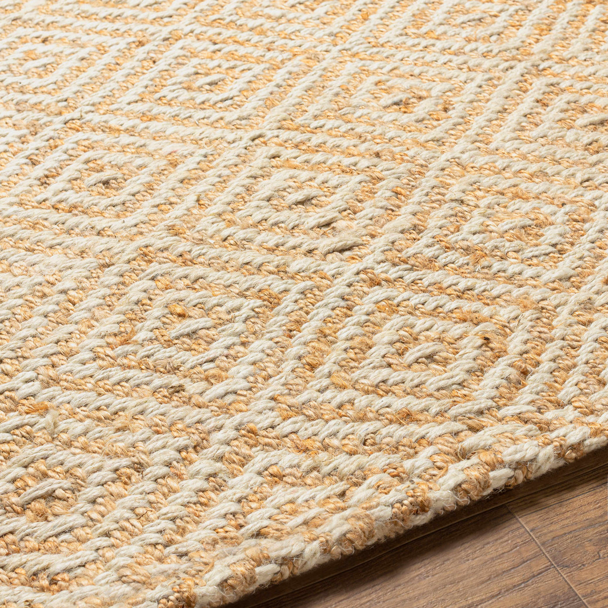 Eriko Area Rug - Clearance