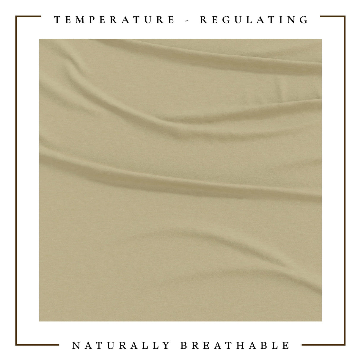 4-Piece Jersey Sheet - Carmen Collection