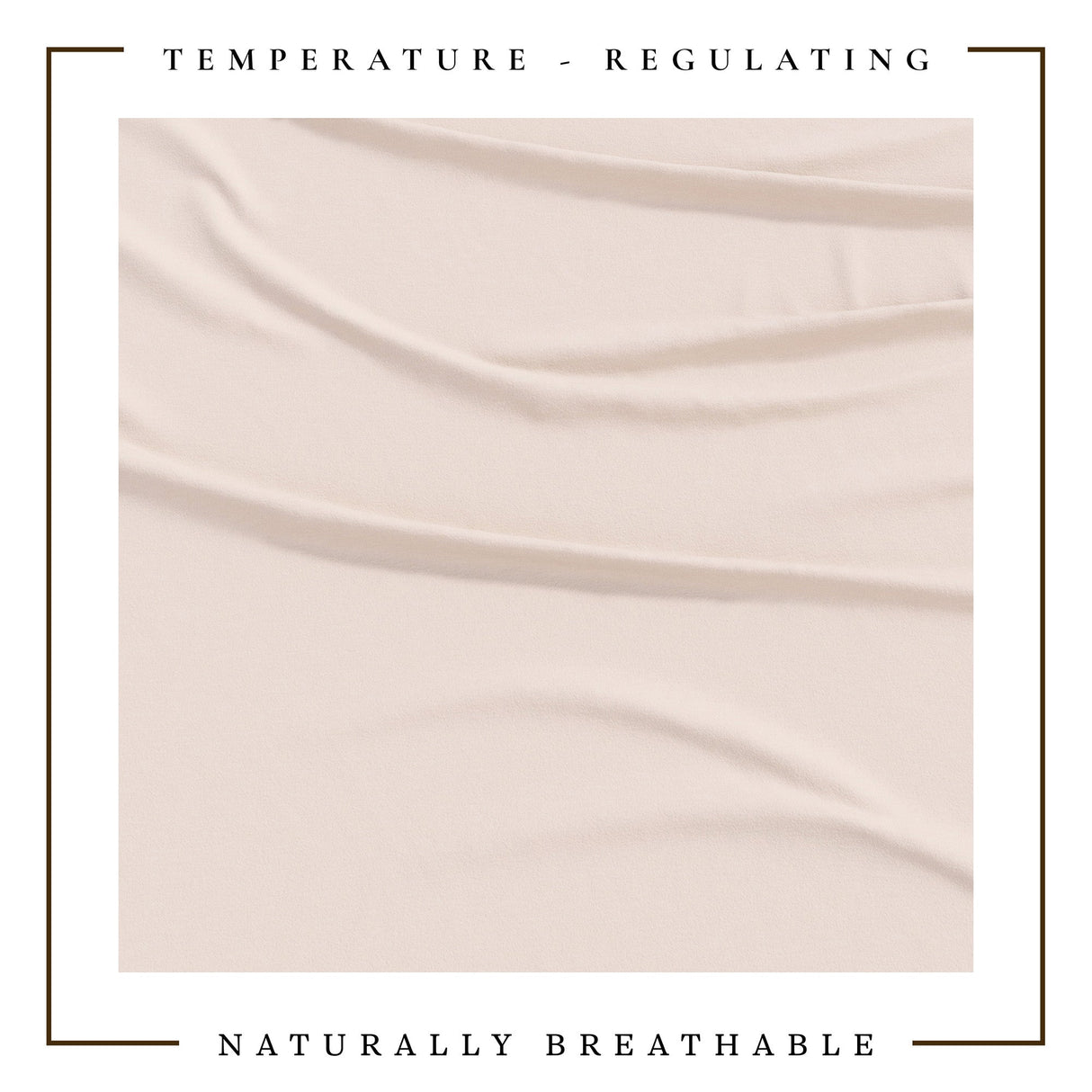 4-Piece Jersey Sheet - Carmen Collection