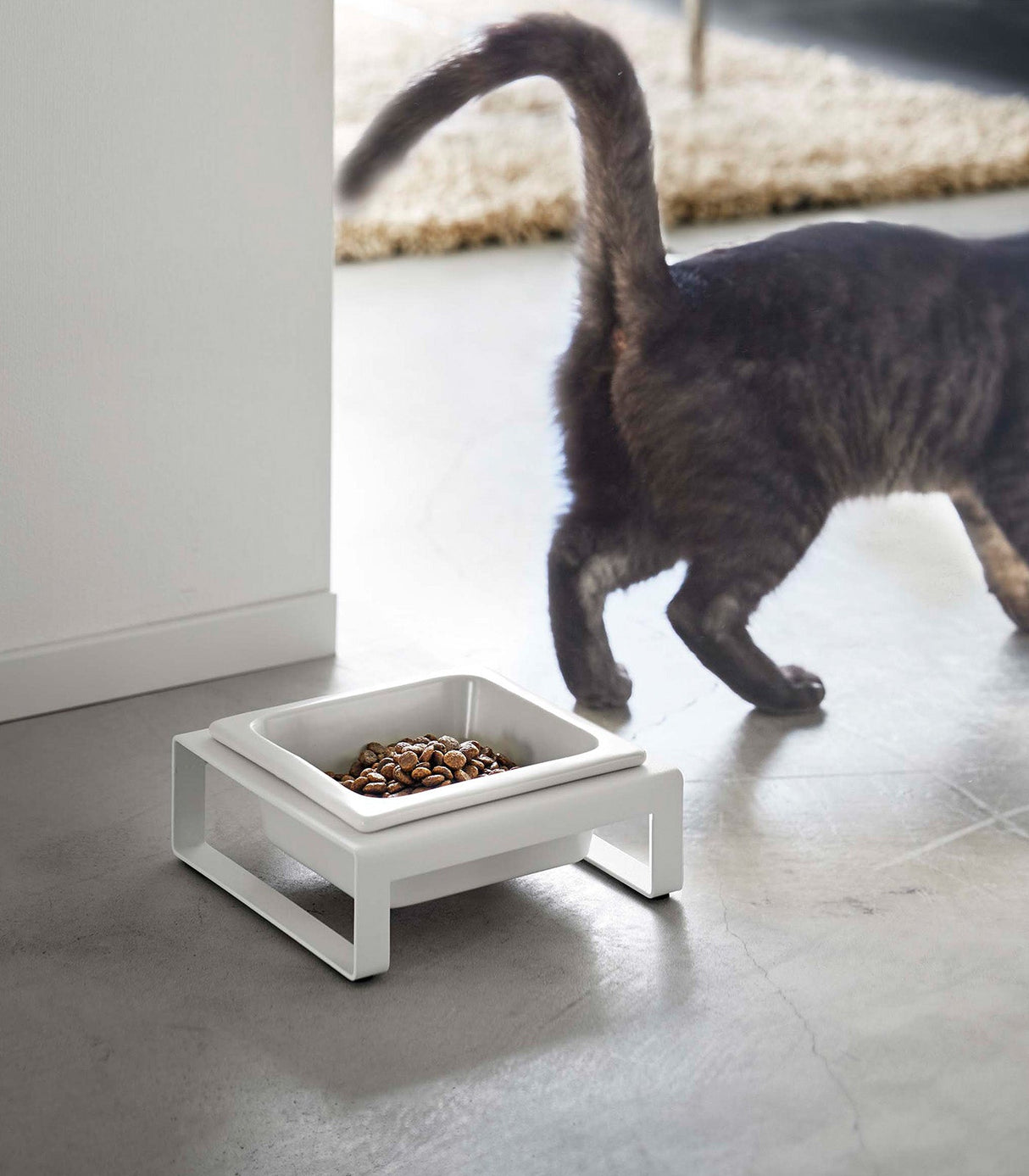 Single Pet Food Bowl - Steel + Ceramic