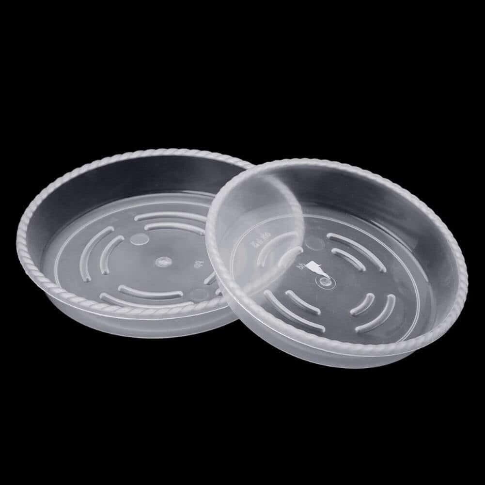 10-Piece Clear Plastic Planter Saucer Set | Sage & Sill