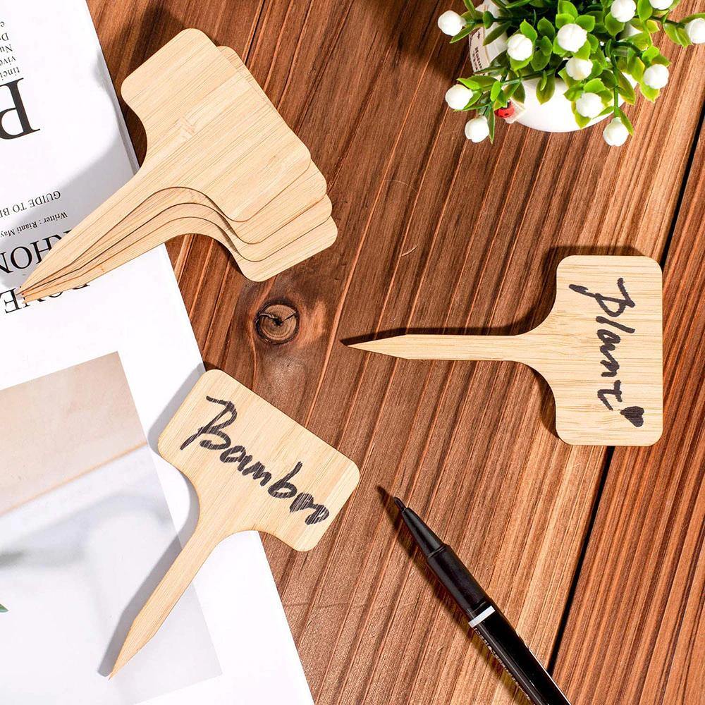Blank Wooden Plant Label Signs | Sage & Sill