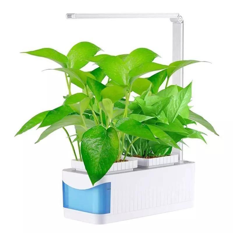 indoor herb garden kit with light