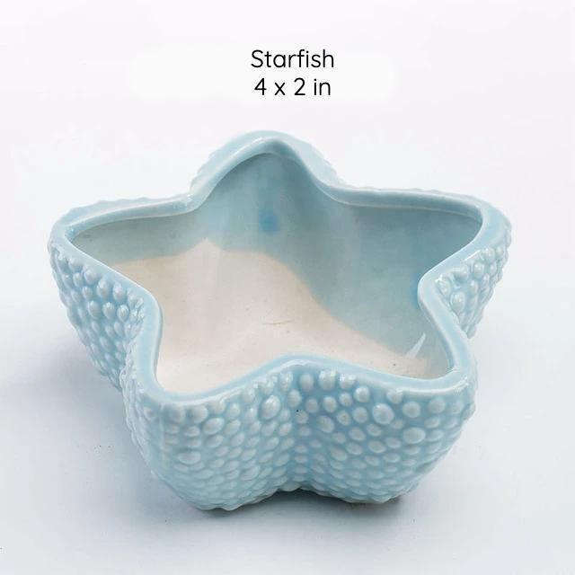 Under the Sea Planters Starfish / Teal | Sage & Sill
