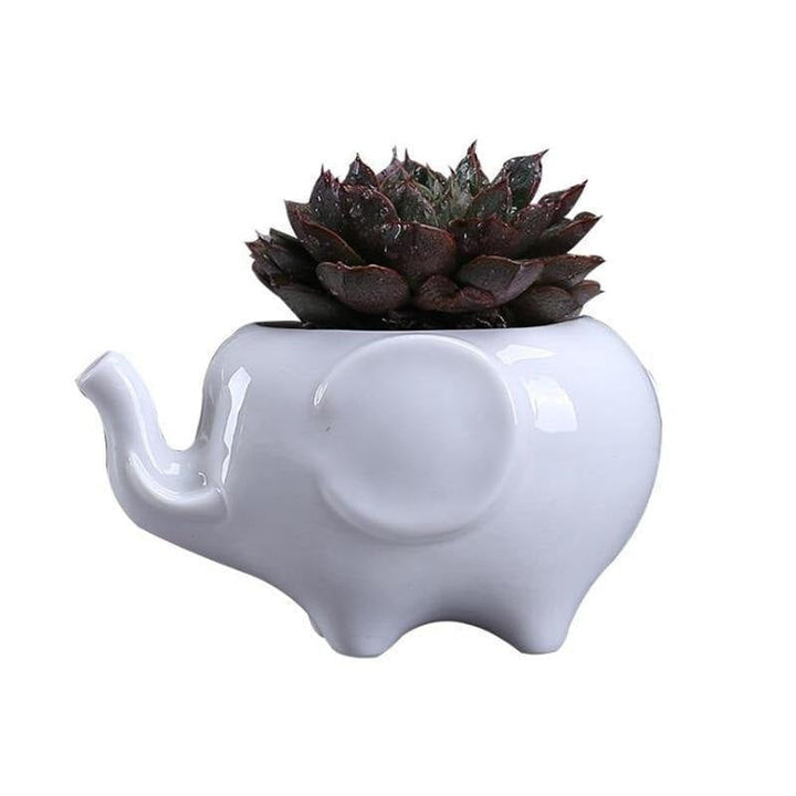 Ceramic Elephant Succulent Planter | Sage & Sill
