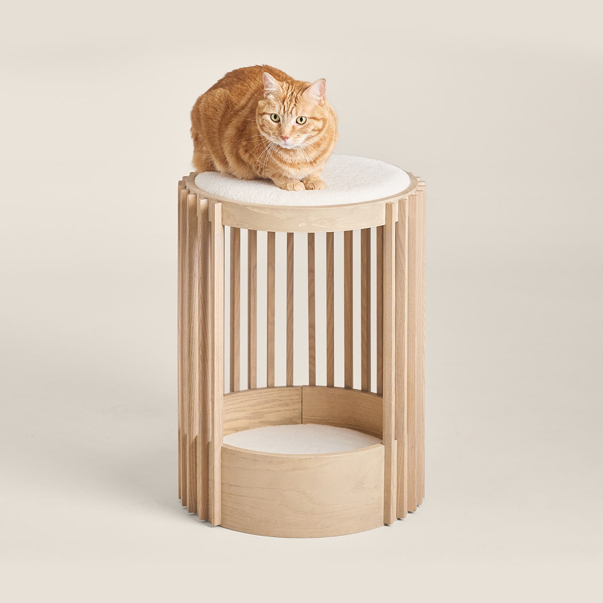 Pet Beds & Accessories