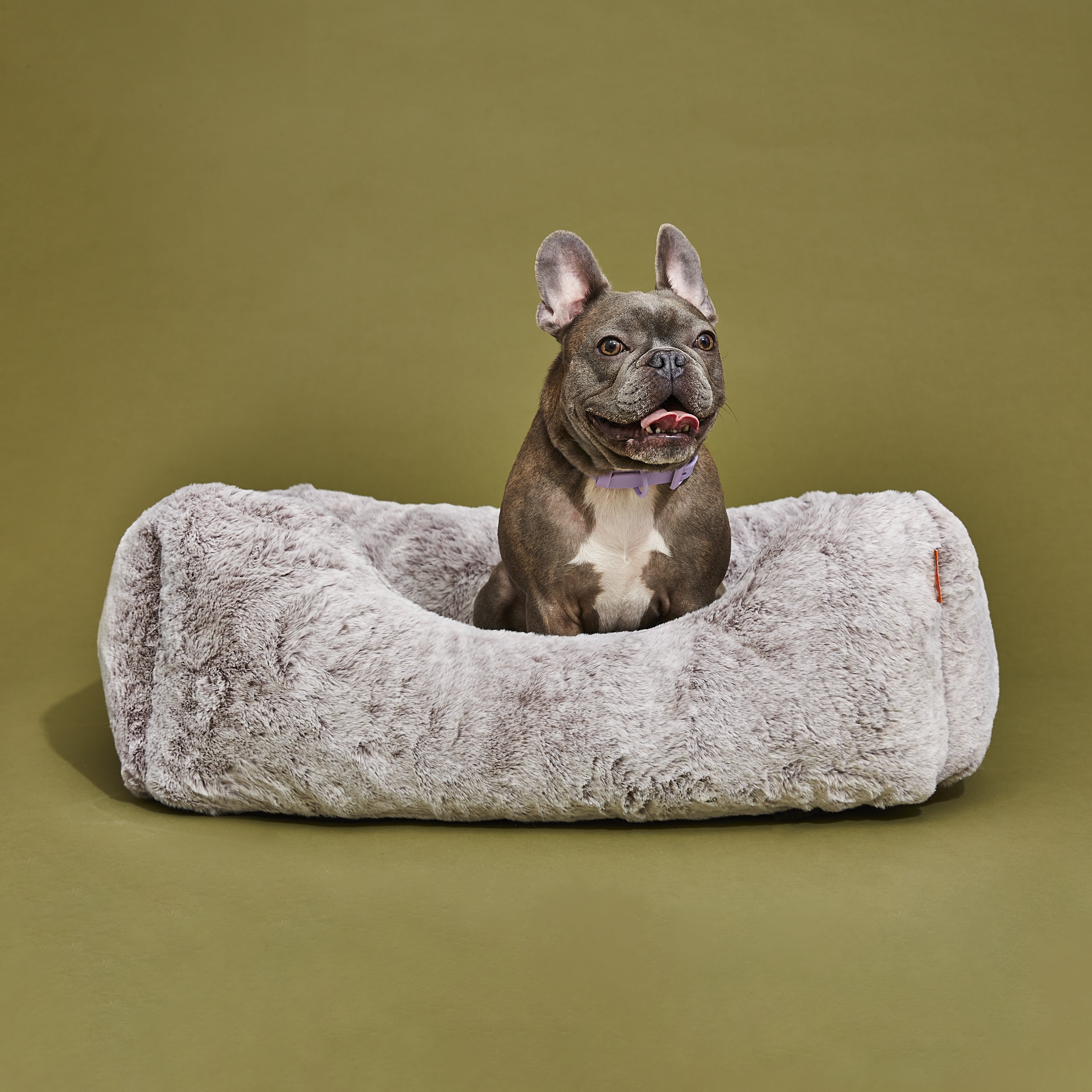 Pet Beds & Accessories
