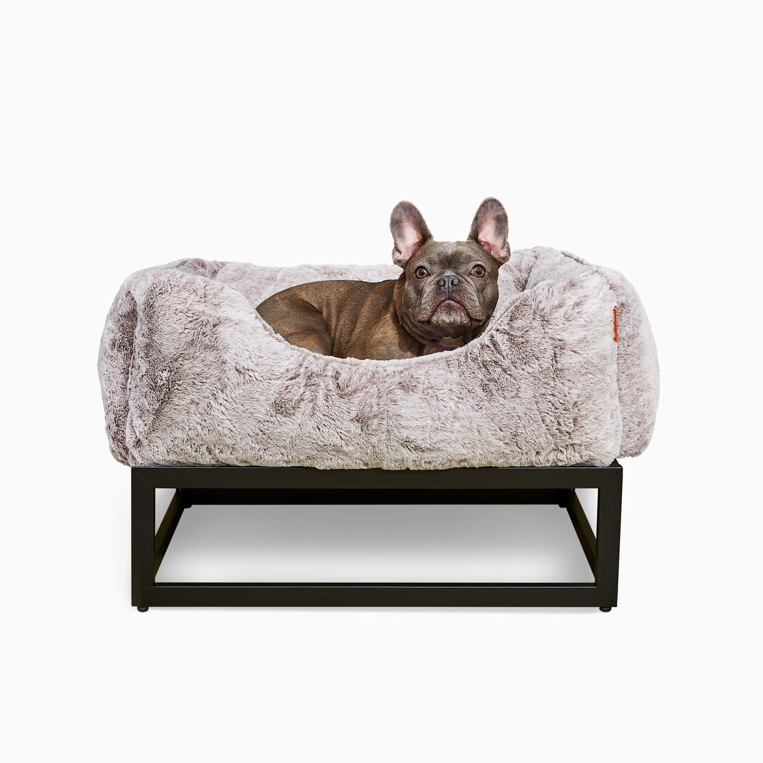 The FÜZI Elevated Dog Bed