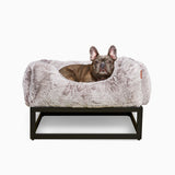 The FÜZI Elevated Dog Bed
