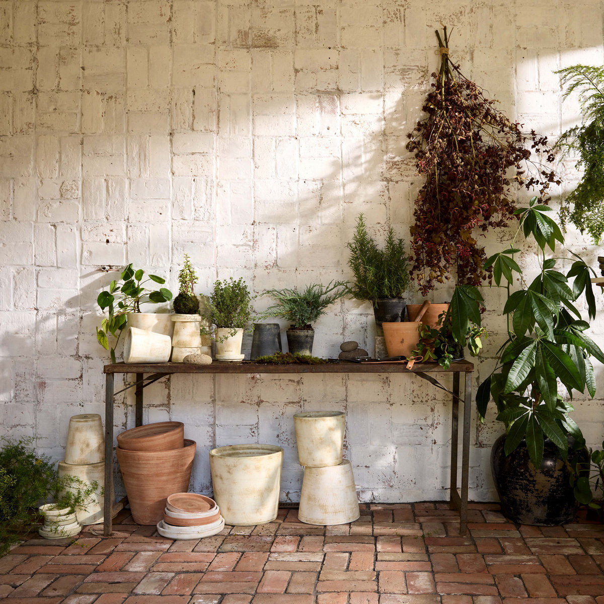 Whitewash Terracotta Studio Planter