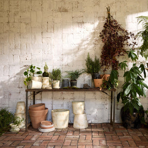 Whitewash Terracotta Studio Planter