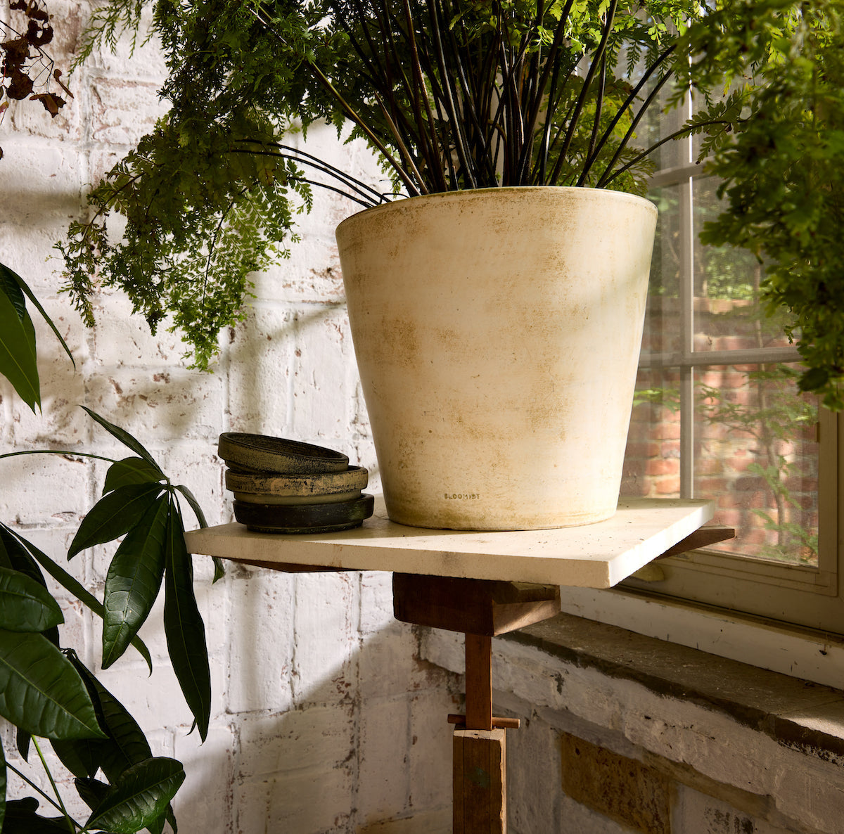 Tray for Basic Planter, White Patina